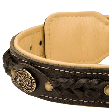 Leather Walking Fashion Collar for Mastiff