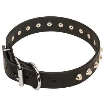 Training Walking Leather Dog Collar with Buckle for Mastiff
