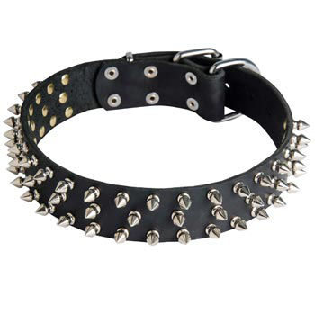 Leather Mastiff Collar with Spikes