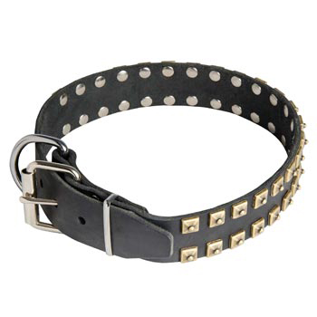Leather Mastiff Collar with Solid Rivets