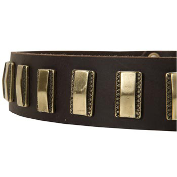 Leather Dog Collar with Adornment for Mastiff