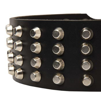 Leather Dog Collar with Studs for   Mastiff