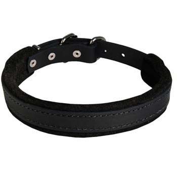 Mastiff Collar Leather for Dog Protection Attack Training