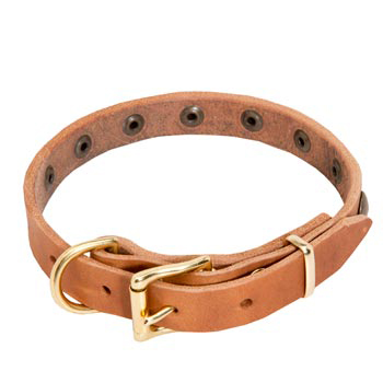 Mastiff Leather Collar with Studs