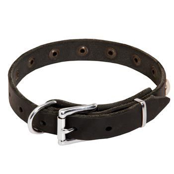 Leather Dog Puppy Collar with Steel Nickel Plated Studs for Mastiff