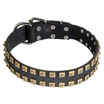 Leather Mastiff Collar with Firm Studs