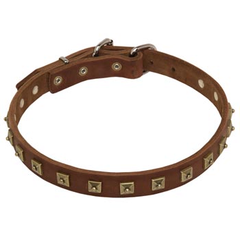 Mastiff Leather Collar For Walking And  Training in Style