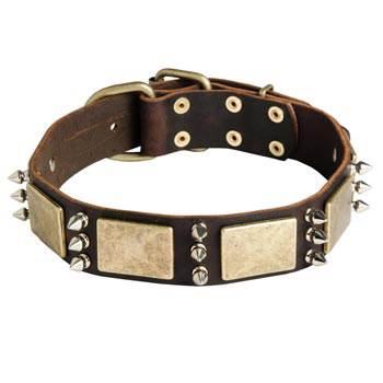 War-Style Leather Dog Collar for Mastiff