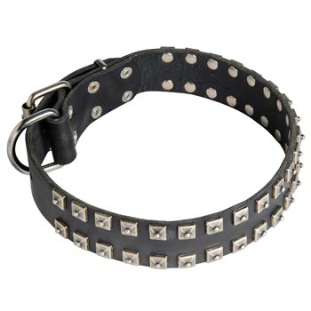 Leather Mastiff Collar Wide Strong Studded