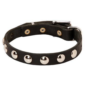 Leather Mastiff Collar Studded for Puppies