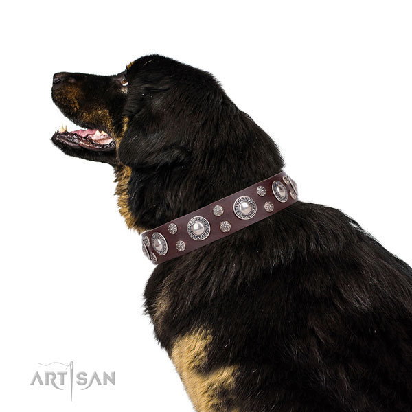 Comfortable wearing decorated dog collar of top quality genuine leather