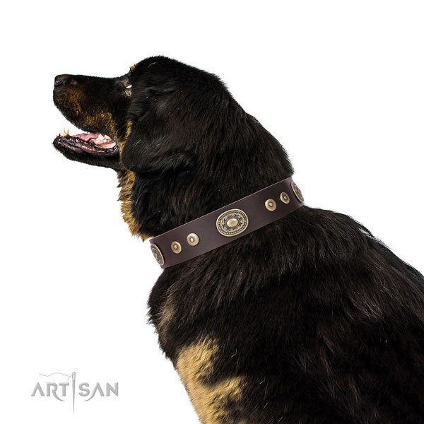 Unique embellished natural leather dog collar for everyday walking