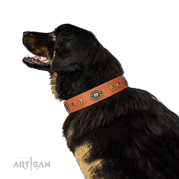 Incredible decorated natural leather dog collar for comfortable wearing