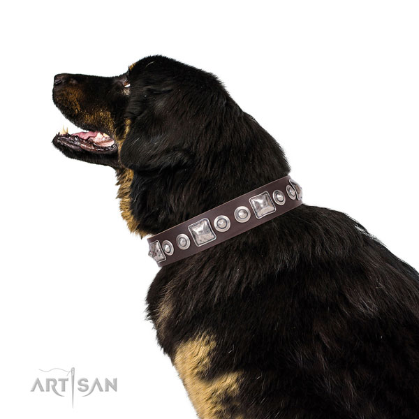 Inimitable embellished leather dog collar for daily walking