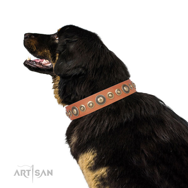 Durable buckle and D-ring on full grain leather dog collar for daily walking