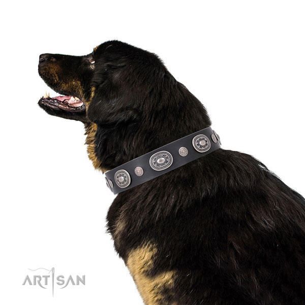 Corrosion resistant buckle and D-ring on full grain leather dog collar for stylish walks