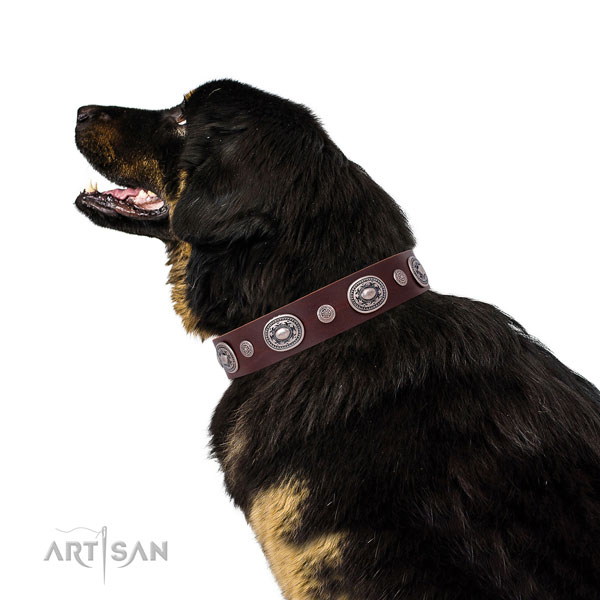 Rust resistant buckle and D-ring on genuine leather dog collar for walking in style