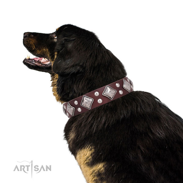 Handy use adorned dog collar made of reliable genuine leather