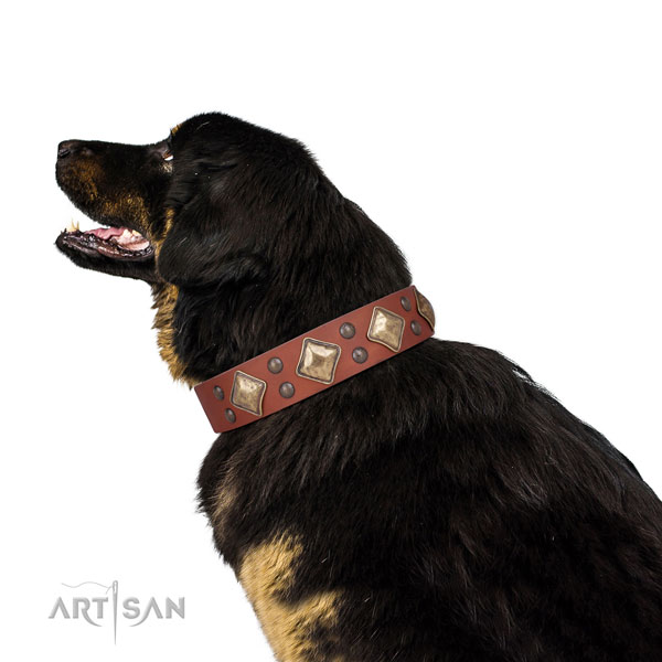 Basic training adorned dog collar made of quality leather