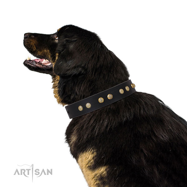 Awesome studs on handy use full grain genuine leather dog collar