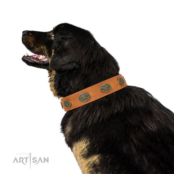 Amazing adornments on easy wearing natural genuine leather dog collar
