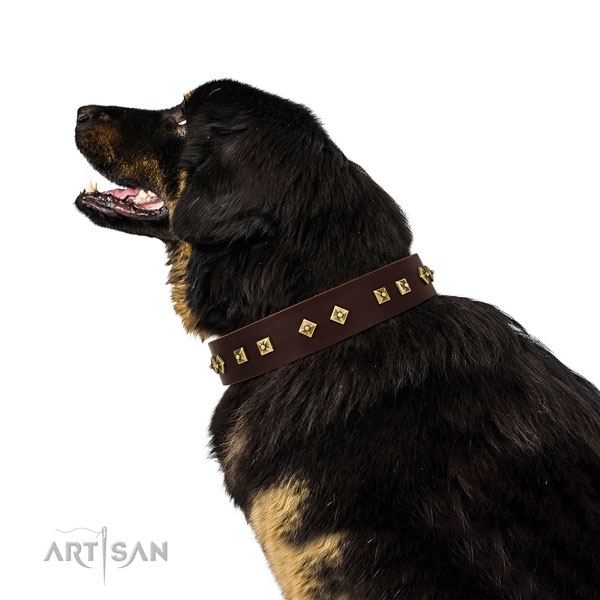 Unique studs on easy wearing genuine leather dog collar