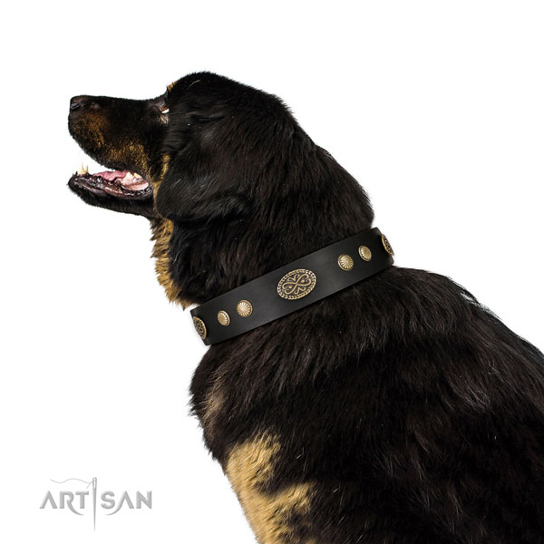Durable D-ring on genuine leather dog collar for daily use