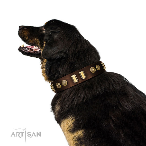 Corrosion resistant buckle on full grain leather dog collar for comfortable wearing