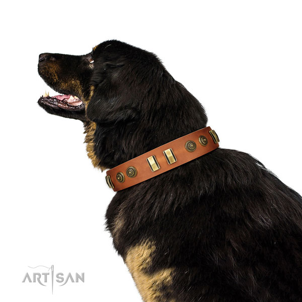 Reliable buckle on leather dog collar for daily walking
