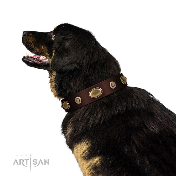 Easy wearing dog collar of natural leather with exquisite decorations