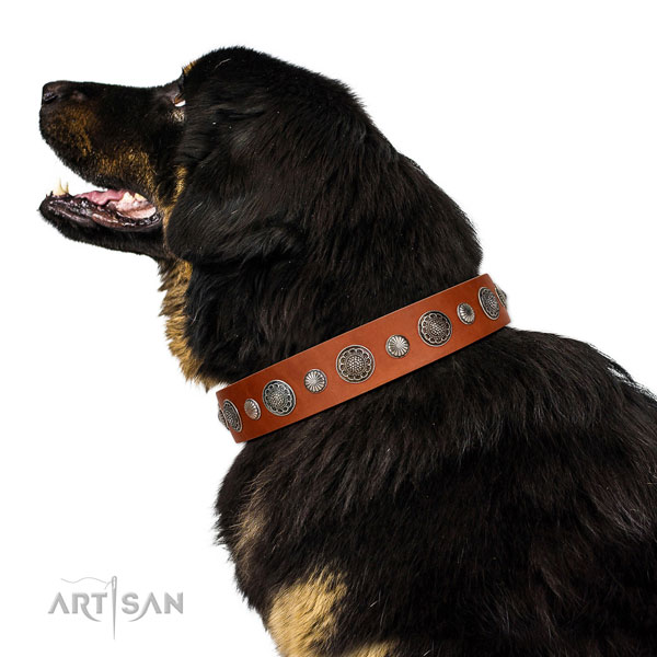 Perfect fit full grain leather dog collar with rust-proof hardware