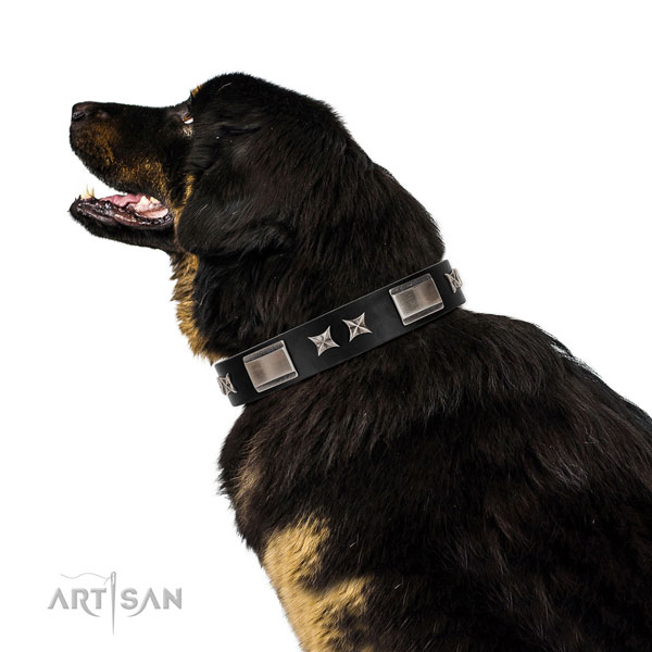Comfortable wearing gentle to touch genuine leather dog collar with adornments