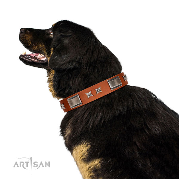 Everyday walking best quality full grain natural leather dog collar with adornments