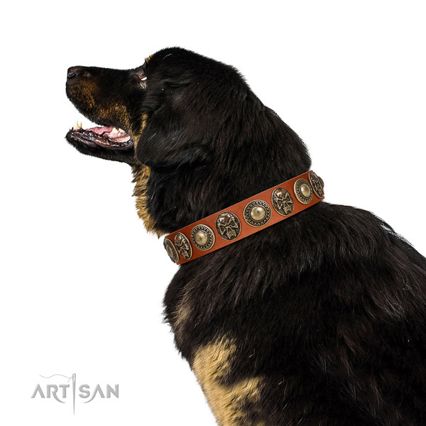 Embellished leather collar for your beautiful doggie