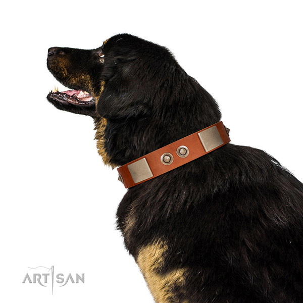 Durable D-ring on leather dog collar for stylish walking