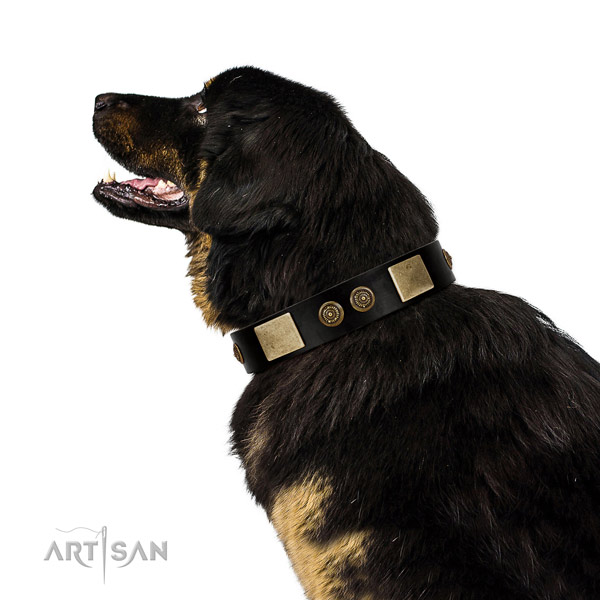 Comfortable wearing dog collar of leather with inimitable adornments