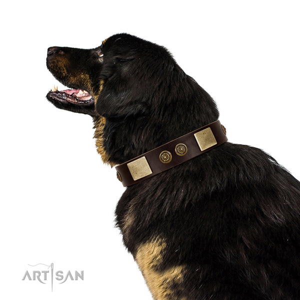 Easy wearing dog collar of natural leather with unusual decorations