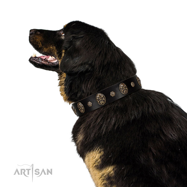Comfortable wearing dog collar of leather with inimitable decorations
