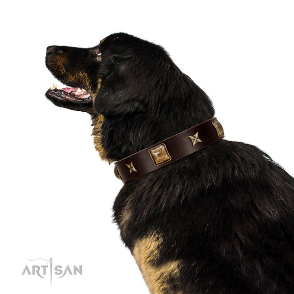 Fashionable full grain natural leather dog collar with studs