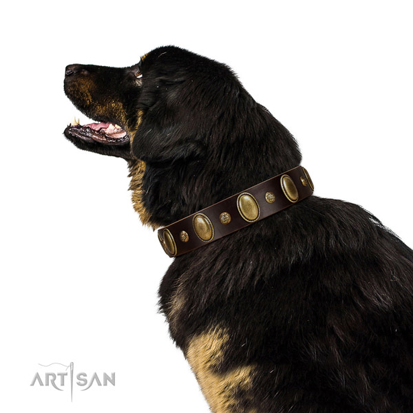 Inimitable full grain genuine leather dog collar with corrosion proof traditional buckle