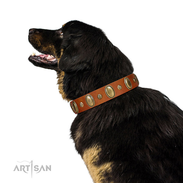 Designer full grain natural leather dog collar with strong hardware