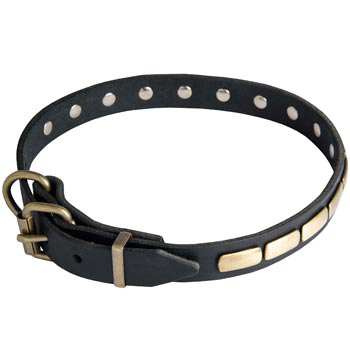 Mastiff Leather Dog Collar with steel old brass plated Buckle 