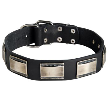 Leather Mastiff Collar with Solid Nickel Plates