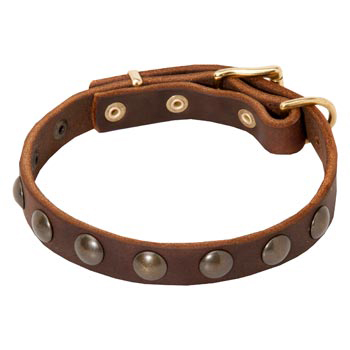 studded leather dog collars