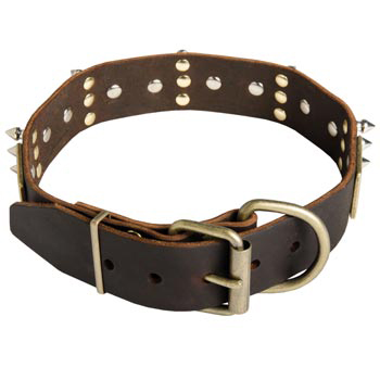 Spiked Leather Mastiff Collar