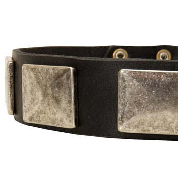 Wide Leather Mastiff Collar for Walking