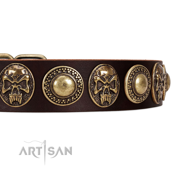 Full grain leather dog collar with studs for daily use