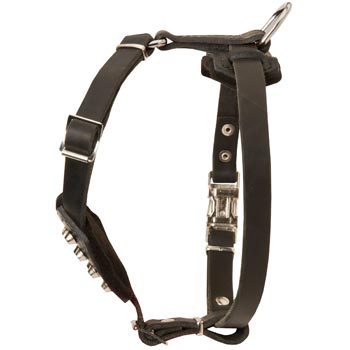 Leather Mastiff Puppy Harness for Comfy Walking