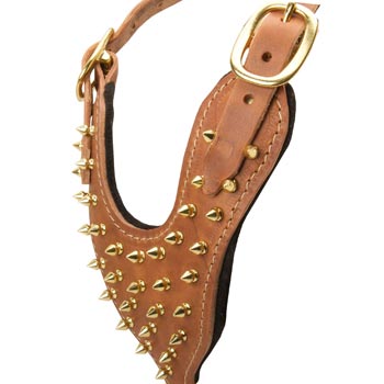 Brass Spiked Leather Mastiff Harness