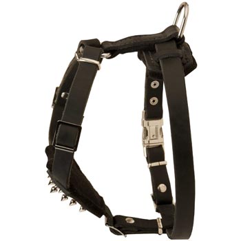 Mastiff Leather Harness for Puppy Walking and Training